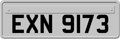 EXN9173