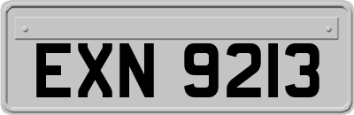 EXN9213