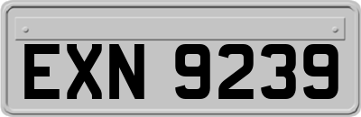 EXN9239