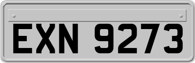 EXN9273