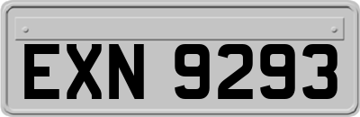 EXN9293