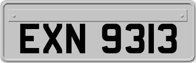 EXN9313
