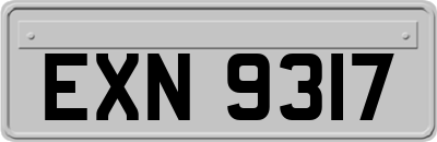 EXN9317