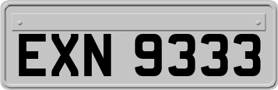 EXN9333