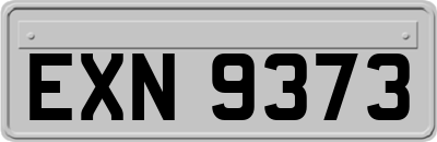 EXN9373