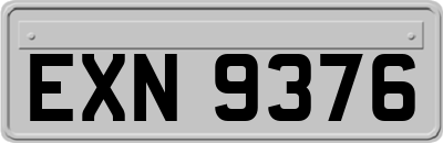 EXN9376