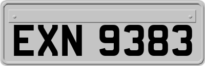 EXN9383