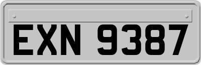 EXN9387