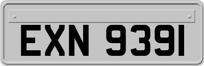 EXN9391