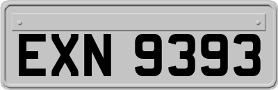 EXN9393