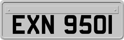 EXN9501