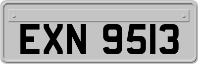 EXN9513