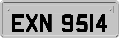 EXN9514