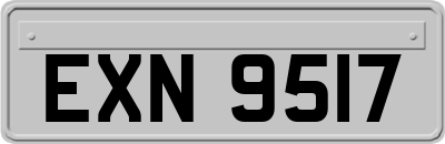 EXN9517