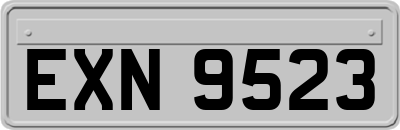 EXN9523