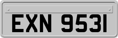 EXN9531