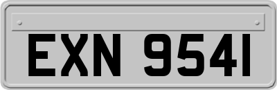 EXN9541