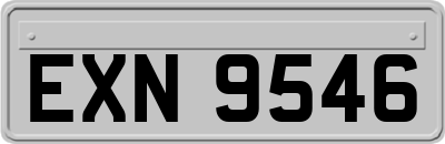 EXN9546