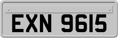 EXN9615