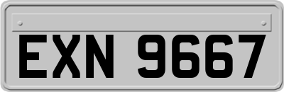 EXN9667