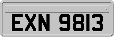 EXN9813