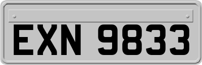 EXN9833