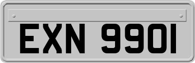 EXN9901