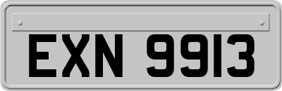 EXN9913