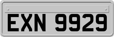 EXN9929