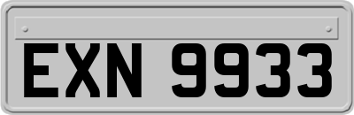 EXN9933