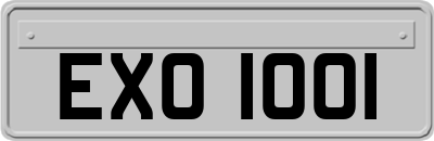 EXO1001