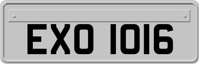 EXO1016