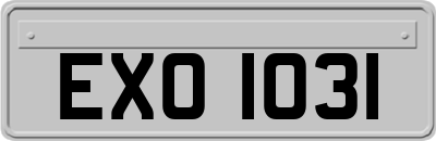 EXO1031