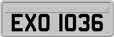 EXO1036
