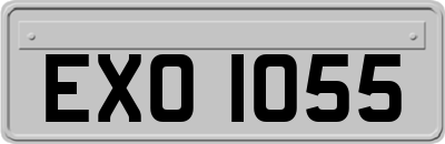 EXO1055