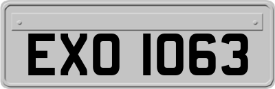 EXO1063