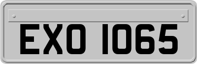 EXO1065