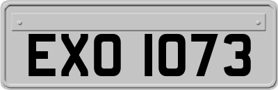 EXO1073