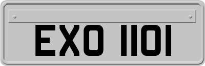 EXO1101