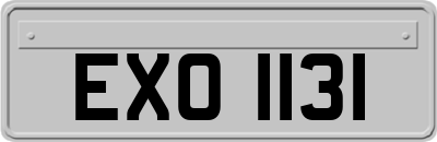 EXO1131