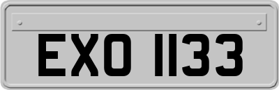 EXO1133