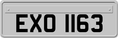EXO1163
