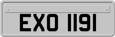 EXO1191