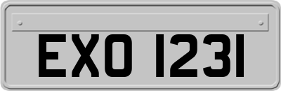 EXO1231
