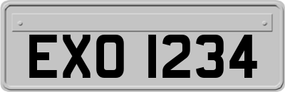 EXO1234