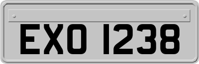 EXO1238