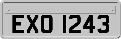 EXO1243