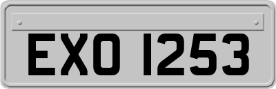 EXO1253