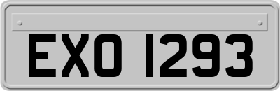 EXO1293