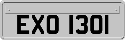 EXO1301